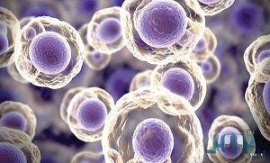 شماره موبایل پزشکان ویروس شناسی و میکروب شناسی